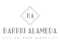 Barrio-Alameda-Grey-onTR